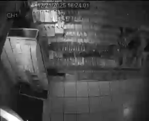 Caméra IP - Réunion