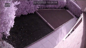 Caméra IP - Frankreich