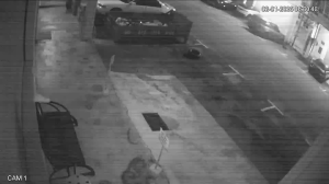 Caméra IP - Malaysia