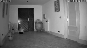 Caméra IP - Spanien