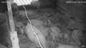 Caméra IP - Ireland