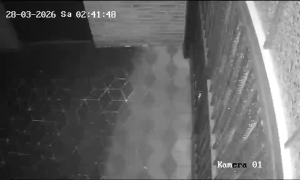 Caméra IP - Allemagne