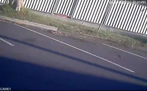 Caméra IP - Australien