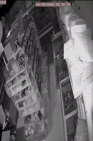 Caméra IP - South Korea