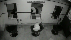 Caméra IP - Giappone