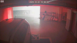 Caméra IP - Südkorea