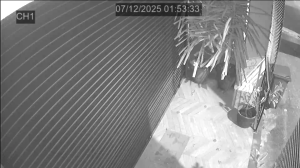 Caméra IP - Singapore