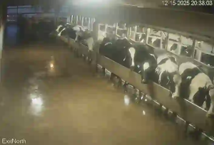 Caméra IP - United States of America