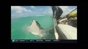 Caméra IP - United States of America