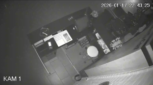 Caméra IP - Germany