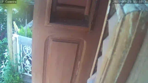 Caméra IP - Martinique