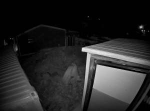 Caméra IP - Corea del Sud