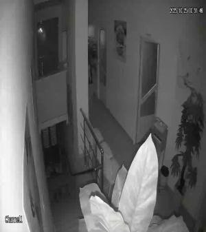 Caméra IP - Albania