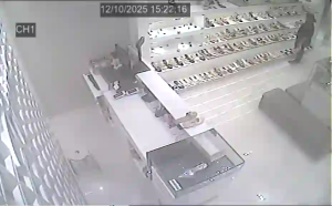 Caméra IP - Malaisie