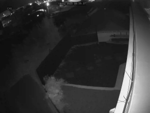 Caméra IP - Corée du Sud