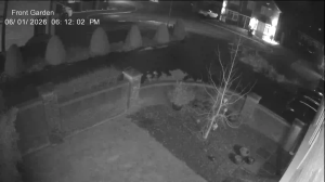 Caméra IP - United Kingdom