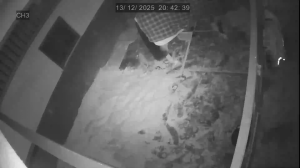 Caméra IP - United Kingdom