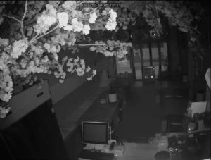 Caméra IP - República de Corea