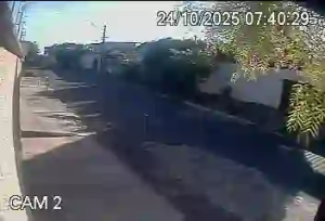 Caméra IP - Brasil