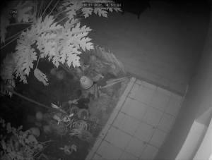 Caméra IP - Singapur