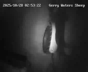 Caméra IP - Irlande