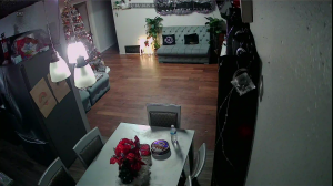 Caméra IP - United States of America