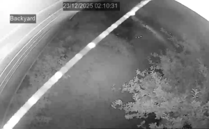 Caméra IP - Neuseeland