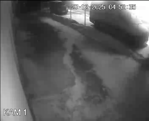 Caméra IP - Pologne