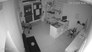 Caméra IP - Italien