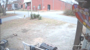 Caméra IP - United States of America