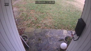 Caméra IP - United States of America