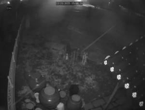 Caméra IP - South Korea