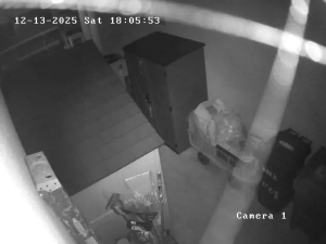 Caméra IP - États-Unis d'Amérique