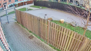 Caméra IP - Dänemark