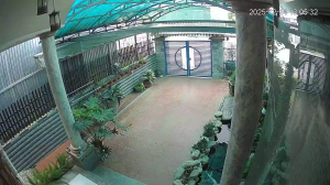 Caméra IP - Vietnam