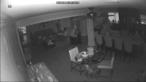 Caméra IP - Estados Unidos