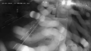 Caméra IP - Netherlands