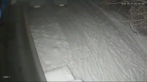 Caméra IP - Russian Federation