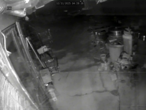 Caméra IP - Südkorea