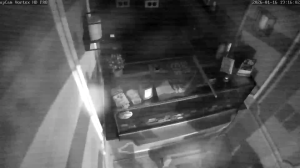 Caméra IP - Germany