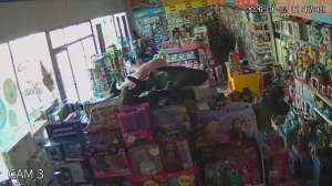 Caméra IP - Georgia