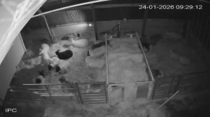 Caméra IP - Iceland