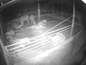 Caméra IP - República de Corea