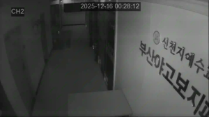 Caméra IP - South Korea