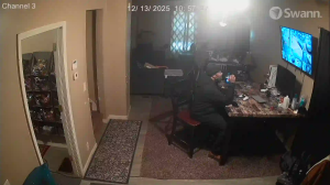 Caméra IP - United States of America