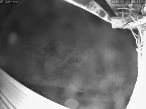 Caméra IP - Portugal