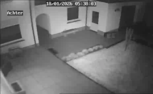 Caméra IP - Netherlands