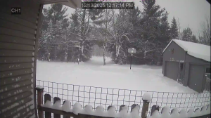 Caméra IP - États-Unis d'Amérique