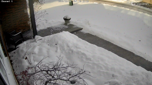 Caméra IP - Stati Uniti d'America