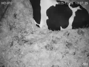 Caméra IP - Ireland